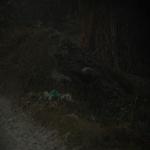 Vraj-Yatra-2014- (1558)